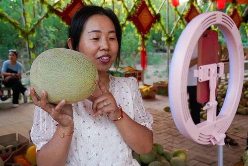 今日份瓜是快乐的,快乐源泉，轻松一夏