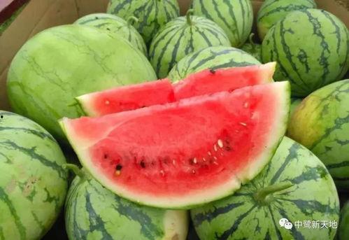 今日吃瓜感想,揭秘娱乐圈幕后风云